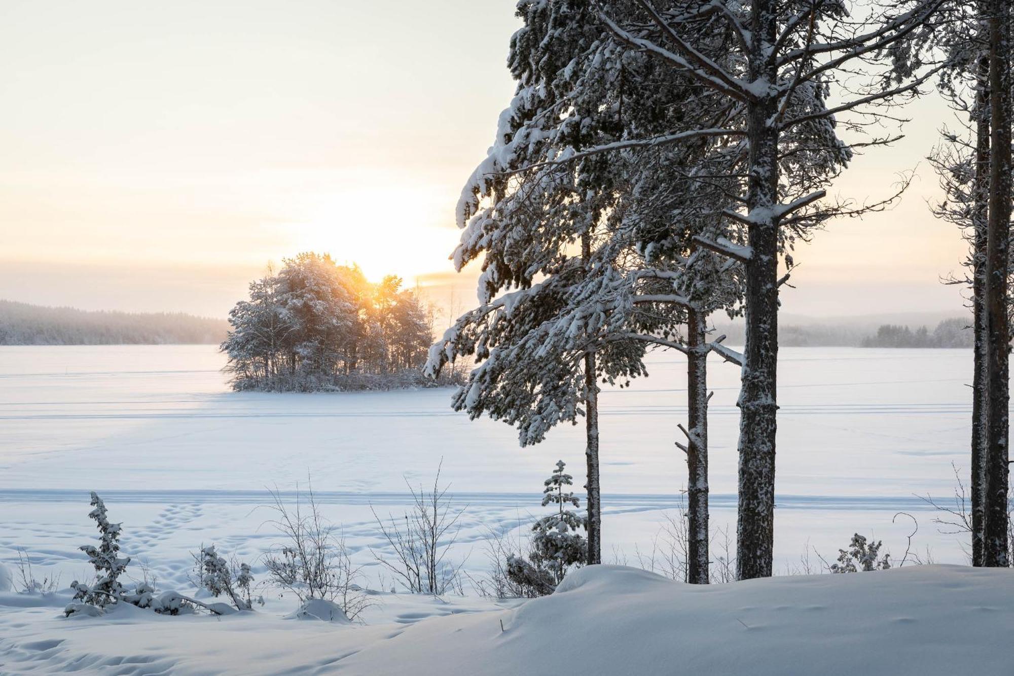 קמיארבי Lapland Arctic Cabins מראה חיצוני תמונה