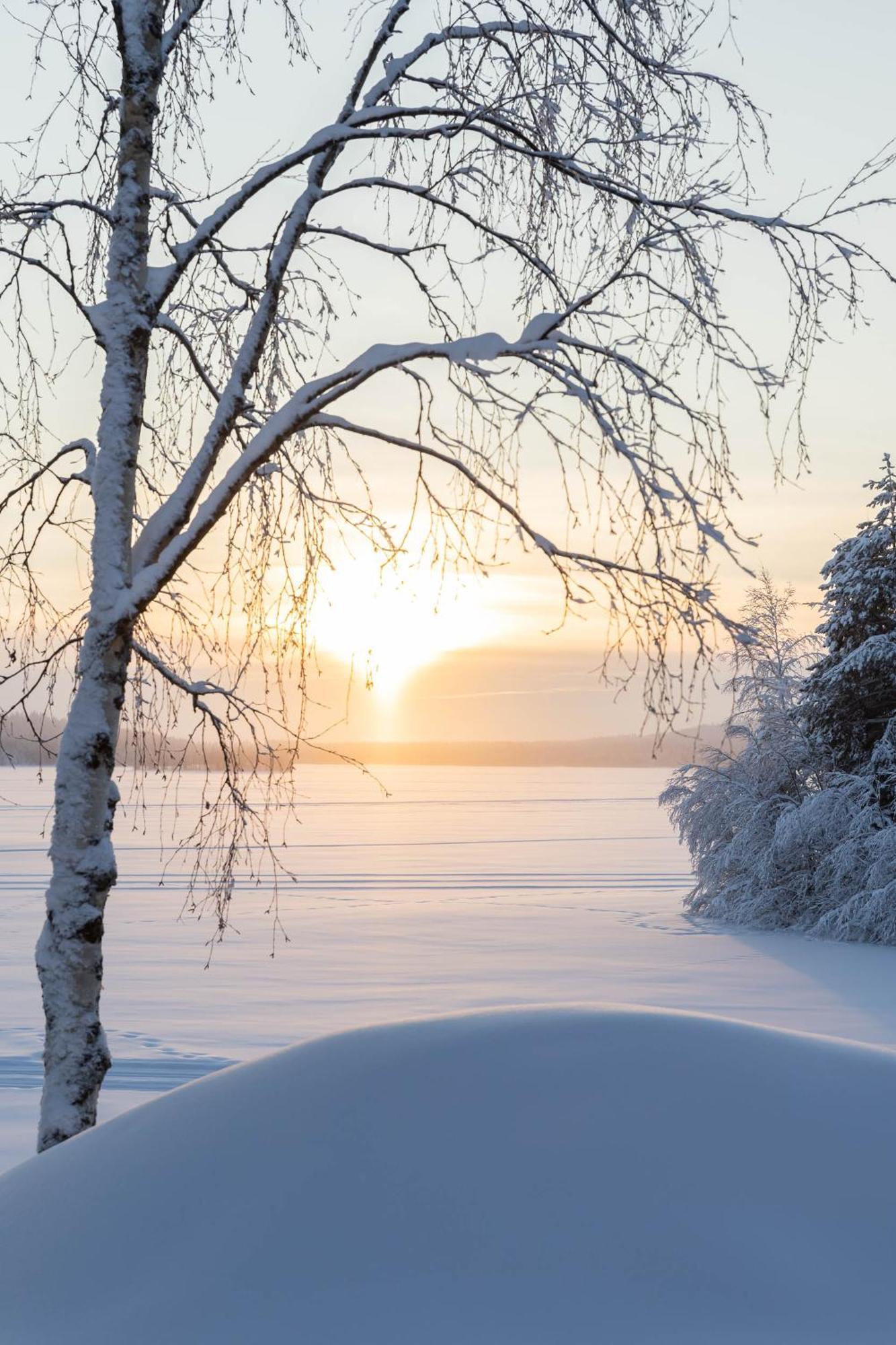 קמיארבי Lapland Arctic Cabins מראה חיצוני תמונה